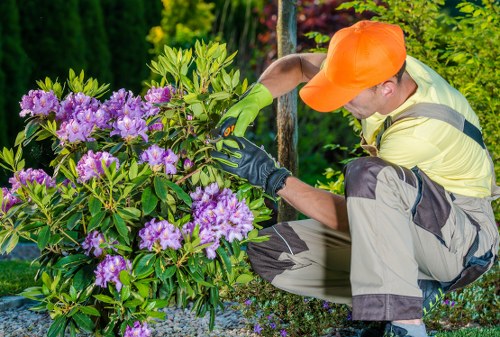 Gardener assessing safety at a garden entrance