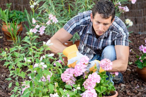 Inspector reviewing garden records and photographs mid-investigation