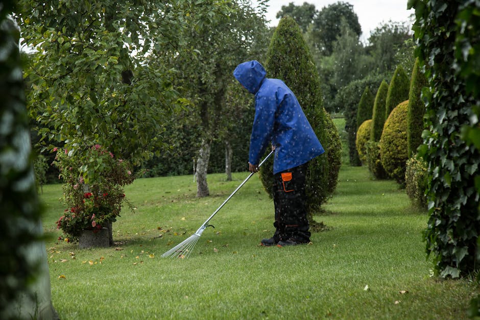A person wearing dark gloves and a black jacket is using pruning shears with blue handles to trim thin, leafless branches in a garden during daylight. The garden features a variety of shrubbery and tr